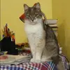 Отзыв от Яна Николаева
